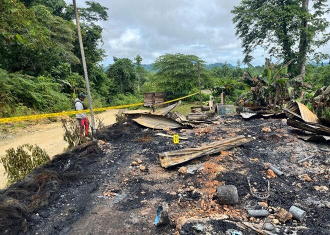 Penyerangan di Pos Pengamanan PT Kristal Nabire, Dua Korban Tewas