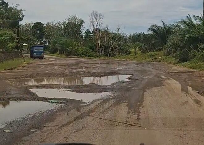 Viral! Pemudik Keluhkan Buruknya Jalan di Kabupaten Bengkulu Utara Yang Mirip Jalan Off-road