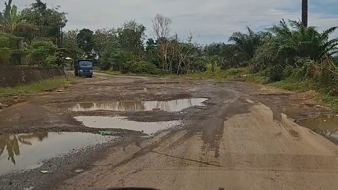 Viral! Pemudik Keluhkan Buruknya Jalan di Kabupaten Bengkulu Utara Yang Mirip Jalan Off-road