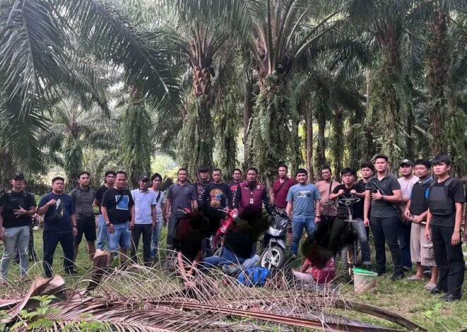 Tegas! Polres Kaur Berantas Judi Sabung Ayam & Judi Dadu, Tomson: Tak Tolerir Segala Bentuk Perjudian