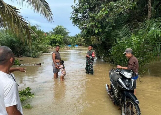 Banjir Rendam Tiga Desa, Kodim 0428/Mukomuko Bantu Evakuasi Warga Hingga Hewan Ternak