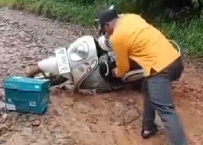 Perjuangan Guru Pelosok Desa di Seluma, Jatuh Bangun Demi Bisa Mengajar di Sekolah