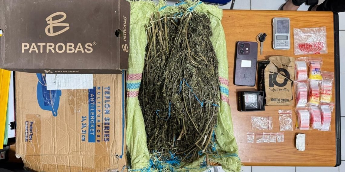 Petani di Kepahiang Nyambi Jadi Pengedar Ganja & Sabu, Polda Bengkulu Sita BB 1 Kg Narkoba