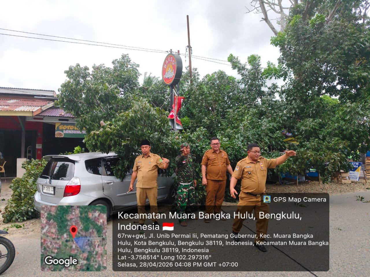 Lagi Makan Bakso, Mobil Milik Pegawai Dispendik Kota Bengkulu Tertimpa Pohon Tumbang