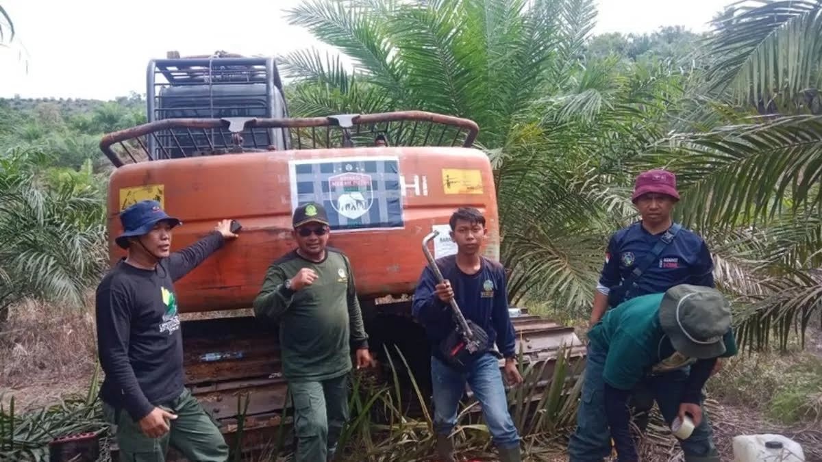 Terancam Penjara 10 Tahun & Denda Rp7,5 Miliar, Kemenhut Tetapkan 1 Tersangka Perambahan Hutan di Mukomuko
