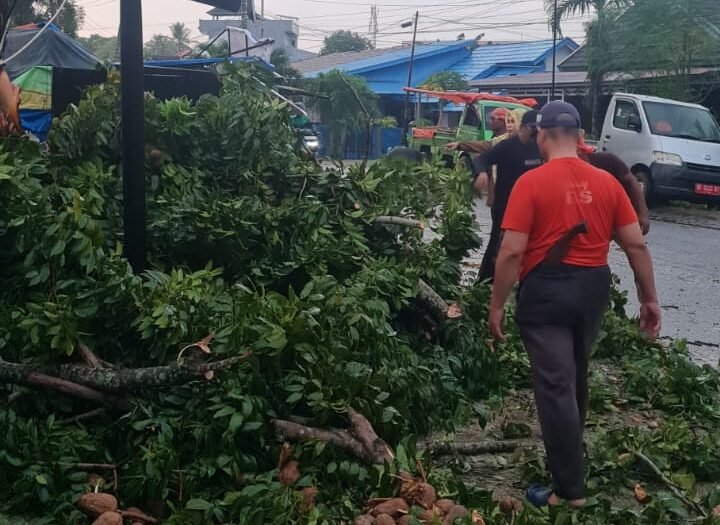 Suasana pembersihan sisa pohon tumbang yang terjadi di Kelurahan Pematang Gubernur Selasa sore.