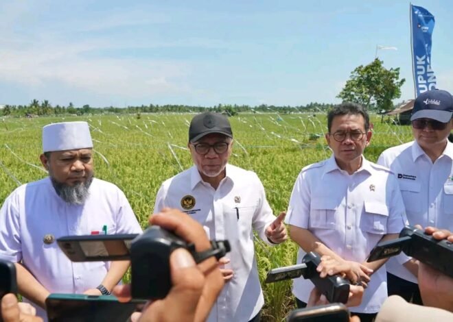 Zulkifli Hasan: Alih Fungsi Sawah Kena Denda Selangit, Bisa Wajib Ganti 3 Kali Lipat!