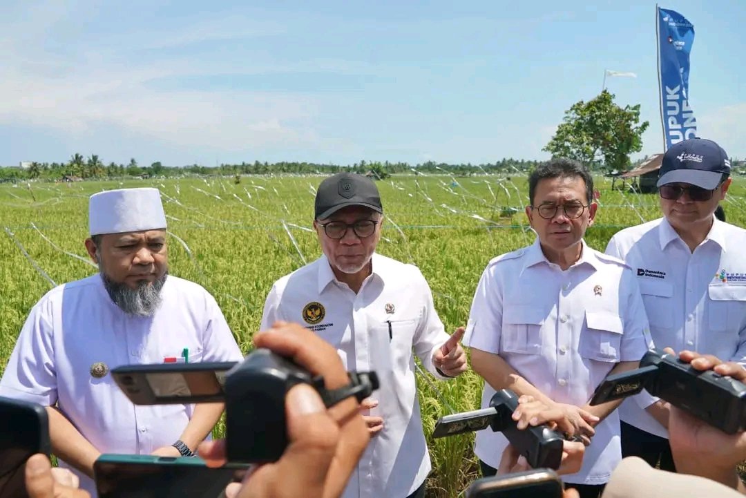 Zulkifli Hasan: Alih Fungsi Sawah Kena Denda Selangit, Bisa Wajib Ganti 3 Kali Lipat!