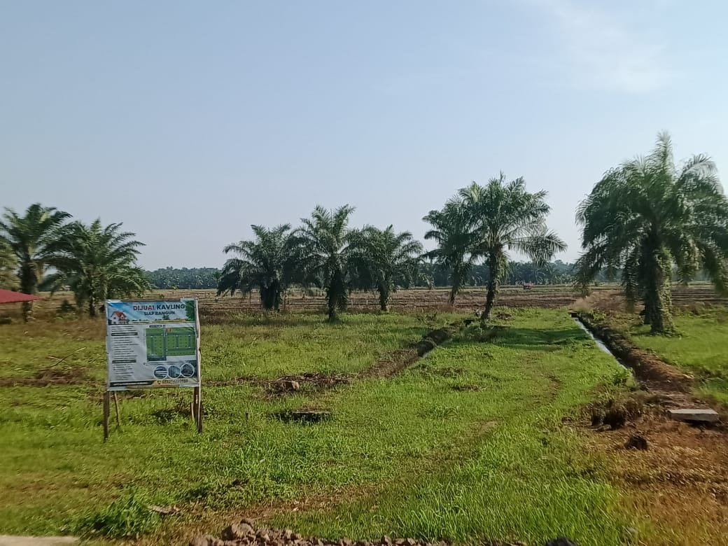 Alih fungsi lahan persawahan terancam kena denda ganti rugi 3 kali lipat.