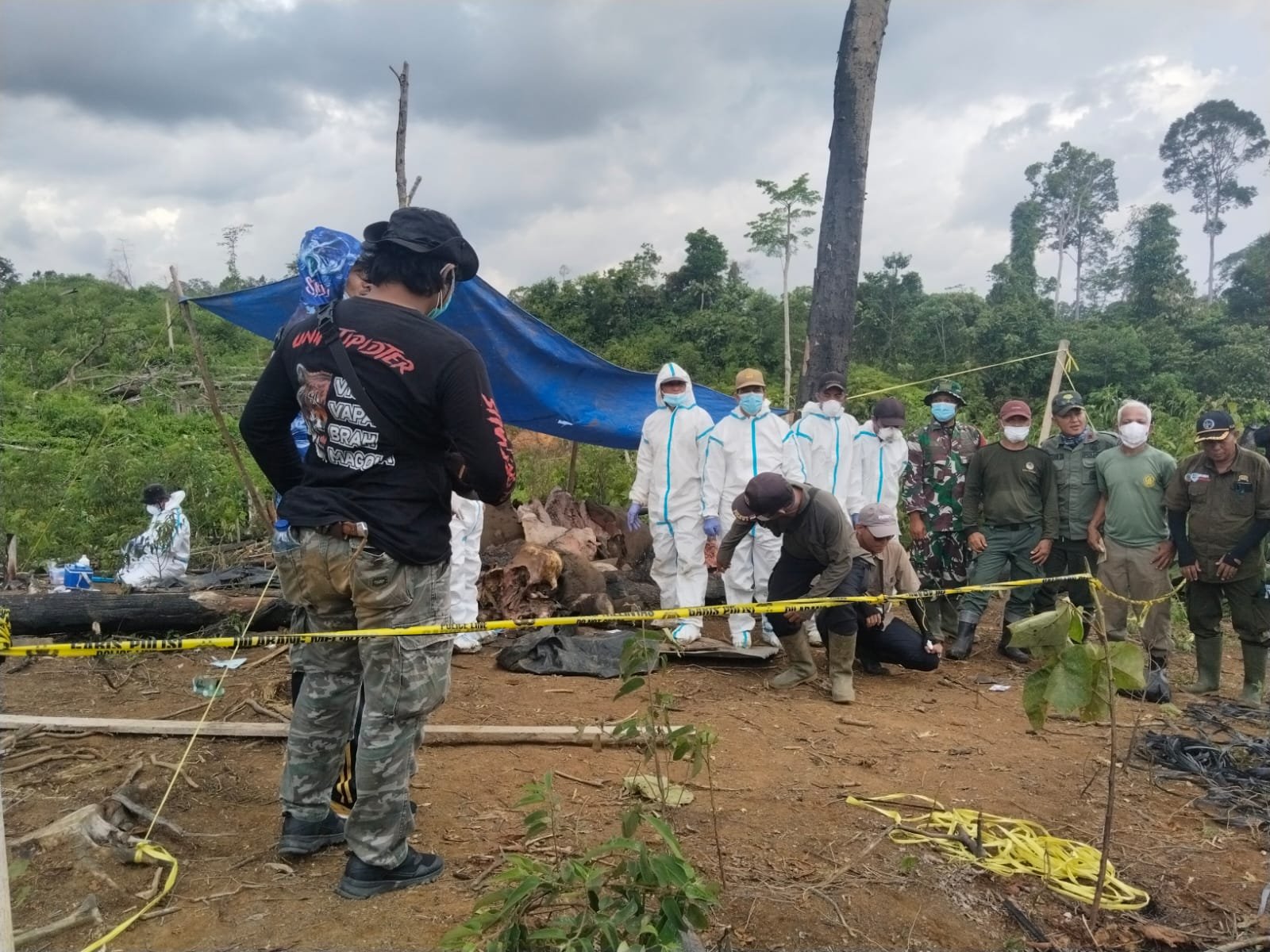 Ambil Sampel Induk & Anak Gajah Sumatera, Bksda Identifikasi Penyebab Kematiannya