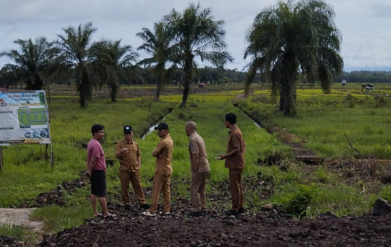 Dinas Perkim Kota Bengkulu turun langsung melakukan pengecekan lahan persawahan yang akan dibangun perumahan di Kelurahan Pematang Gubernur, Kecamatan Muara Bangkahulu, Kota Bengkulu, Senin Pagi (11/05/2026).
