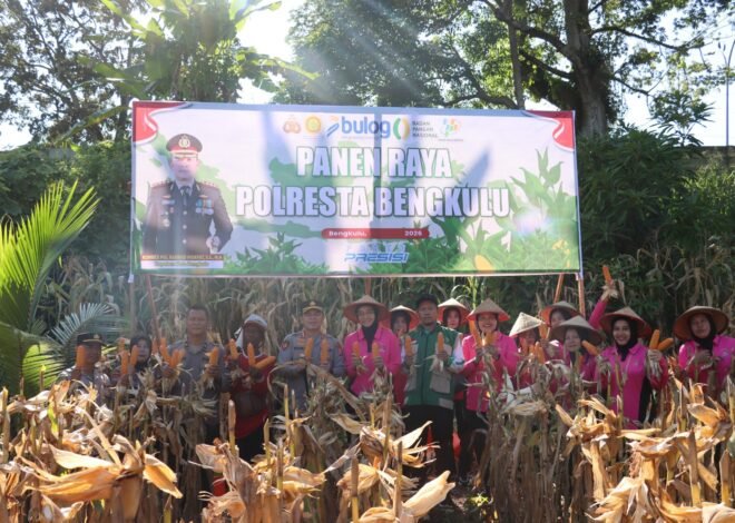 Panen 3 Ton Jagung, Kapolresta Bengkulu Tegaskan Komitmen Dukung Swasembada Pangan