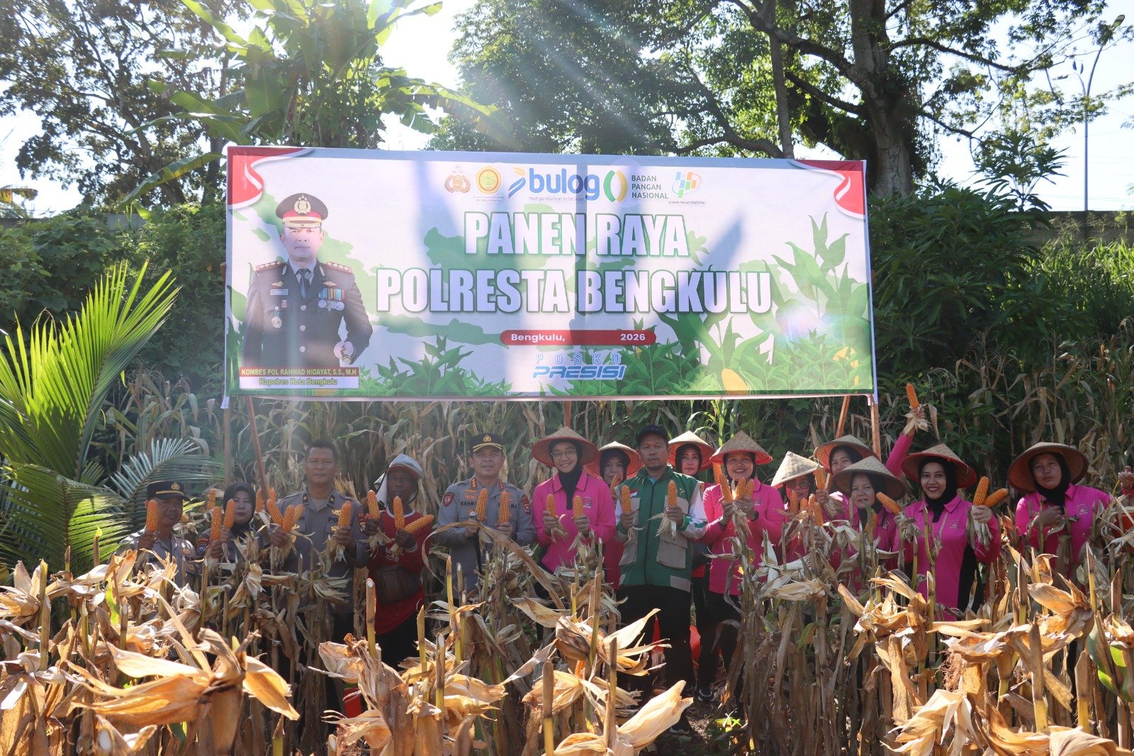 Panen 3 Ton Jagung, Kapolresta Bengkulu Tegaskan Komitmen Dukung Swasembada Pangan